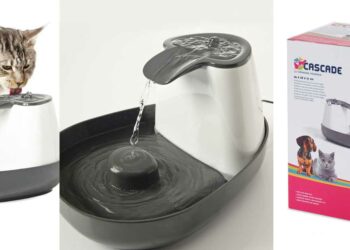 Comment choisir une fontaine à eau ?