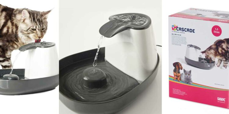 Comment choisir une fontaine à eau ?