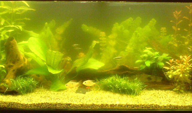 Comment clarifier de l'eau ?