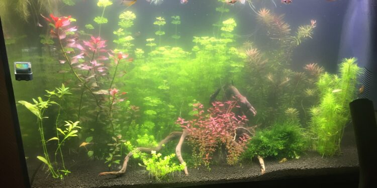 Comment clarifier de l'eau ?