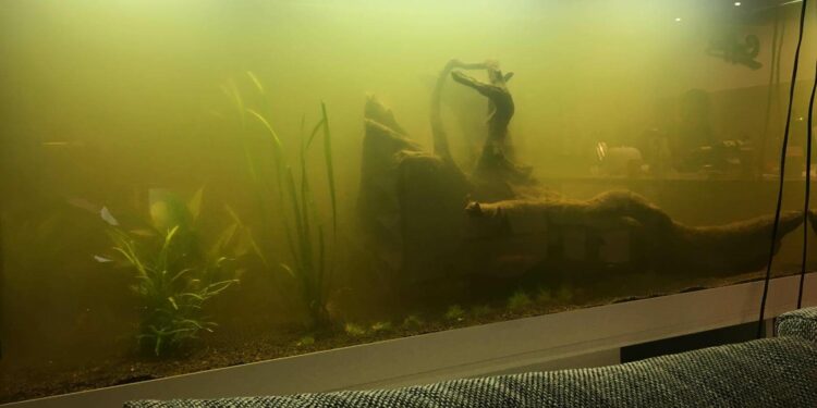 Comment clarifier de l'eau ?