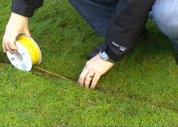 Comment clôturer son jardin pour chien ?