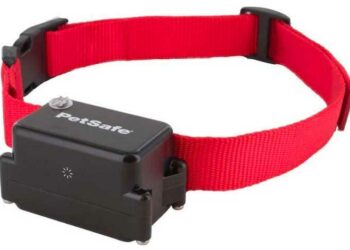 Comment clôturer son jardin pour chien ?