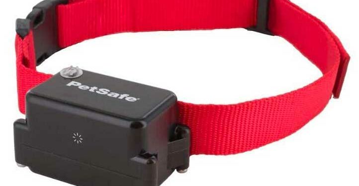 Comment clôturer son jardin pour chien ?