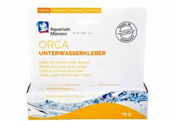 Comment coller des pierres dans un aquarium ?