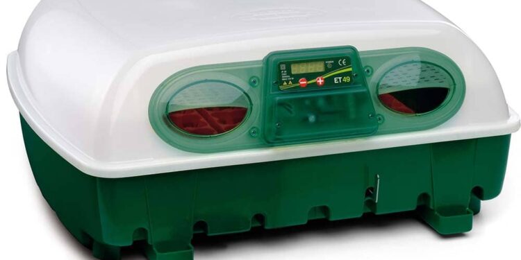 Comment conserver les œufs avant de les mettre en couveuse ?