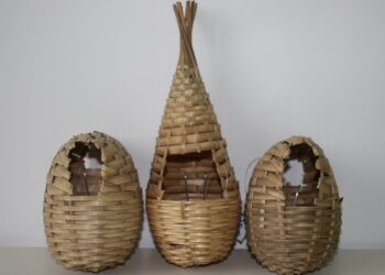 Comment conserver un nid d'oiseau ?