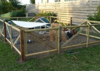 Comment construire un enclos ?