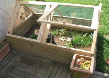 Comment construire un enclos pour tortue Hermann ?