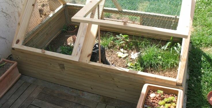 Comment construire un enclos pour tortue Hermann ?
