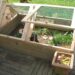 Comment construire un enclos pour tortue Hermann ?