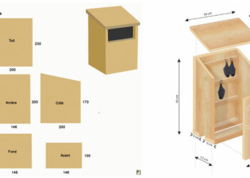 Comment construire un nichoir ?