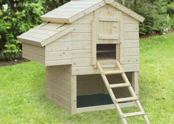 Comment construire un poulailler pour 4 poules ?