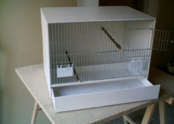 Comment construire une cage ?