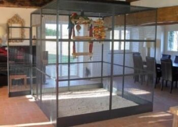 Comment construire une cage à oiseaux ?