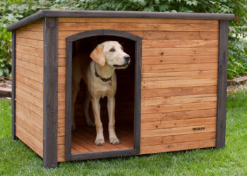 Comment construire une niche pour chien ?