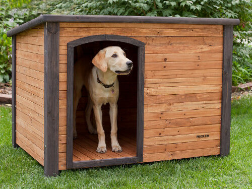 Comment construire une niche pour chien ?
