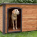 Comment construire une niche pour chien ?