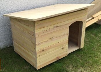 Comment construire une niche pour chien en parpaing ?