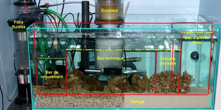 Comment créer de l'oxygène dans un aquarium ?
