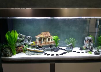 Comment creer un décor d'aquarium ?