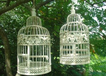 Comment décorer une petite cage ?