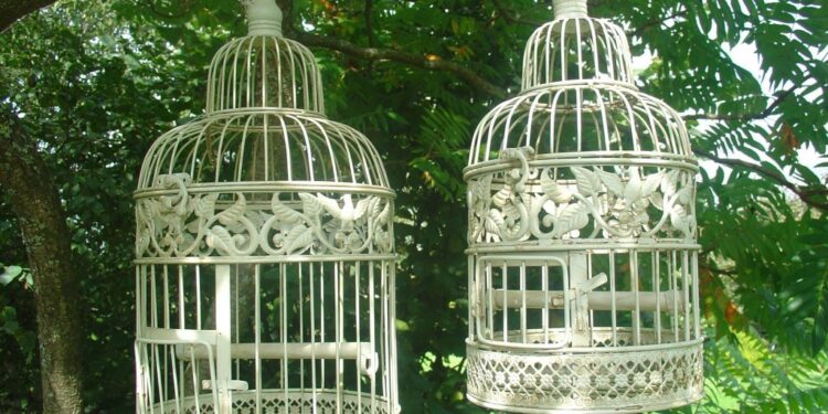 Comment décorer une petite cage ?