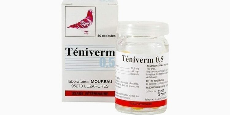 Comment déparasiter un pigeon ?