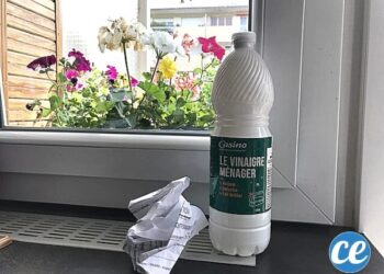 Comment déparasiter un poulailler ?