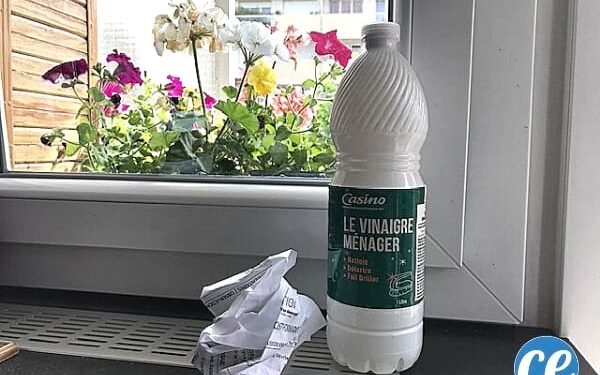 Comment déparasiter un poulailler ?