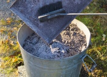 Comment déparasiter un poulailler ?