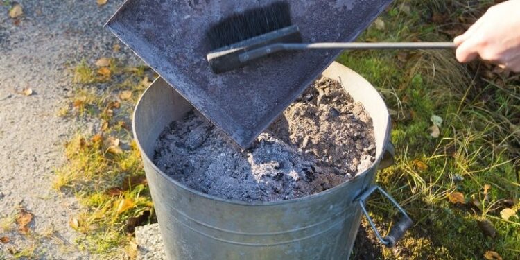 Comment déparasiter un poulailler ?