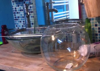 Comment désinfecter un aquarium vide ?