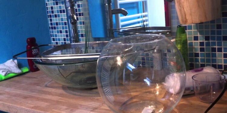 Comment désinfecter un aquarium vide ?