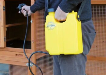 Comment désinfecter un poulailler naturellement ?