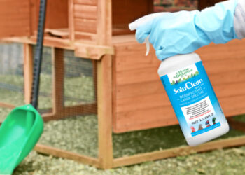 Comment désinfecter un poulailler naturellement ?