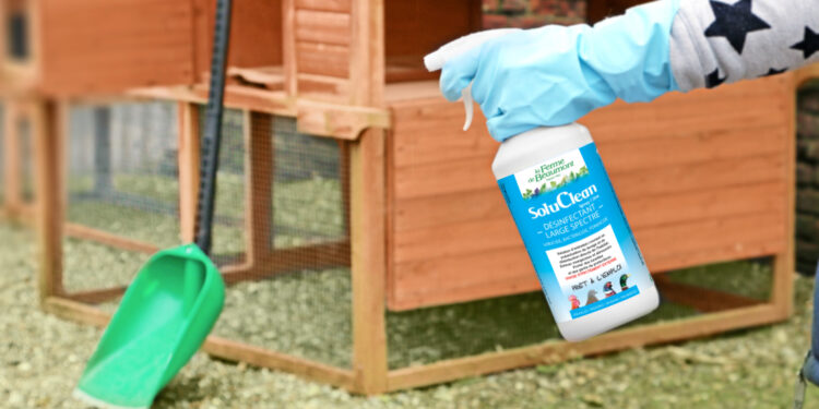 Comment désinfecter un poulailler naturellement ?