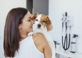 Comment détecter une puce électronique ?