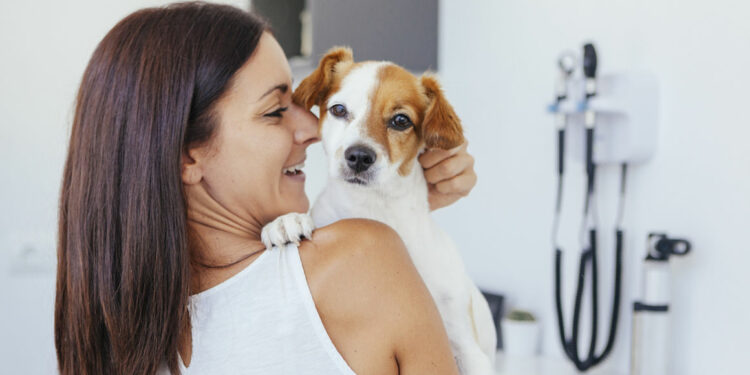 Comment détecter une puce électronique ?