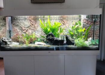 Comment diminuer le KH de l'eau ?