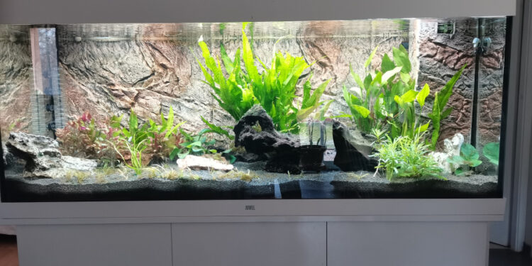 Comment diminuer le KH de l'eau ?