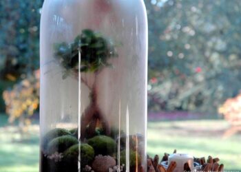 Comment diminuer le taux d'humidité dans l'air ?