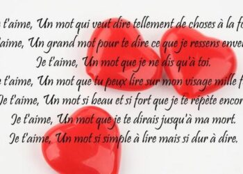 Comment dire bonjour à un lapin ?