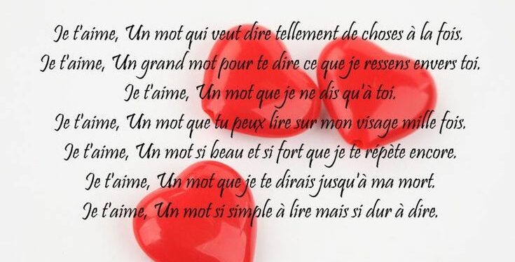 Comment dire bonjour à un lapin ?