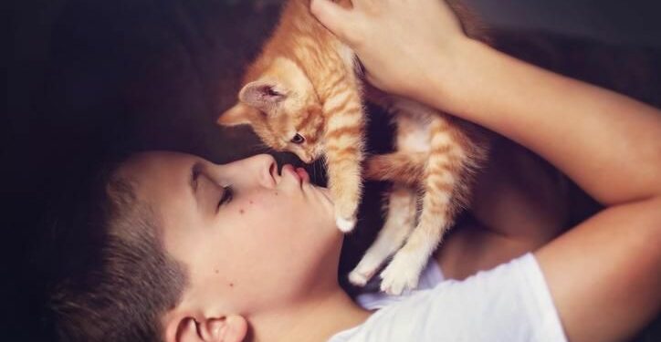 Comment dire je t'aime à un chat ?