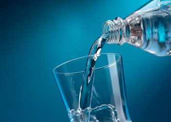 Comment donner à boire à un caméléon ?