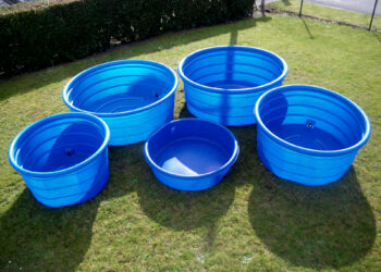 Comment donner à boire aux oiseaux l'été ?