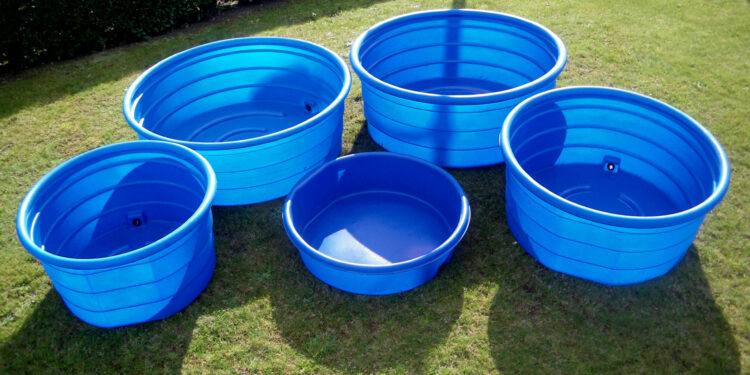 Comment donner à boire aux oiseaux l'été ?