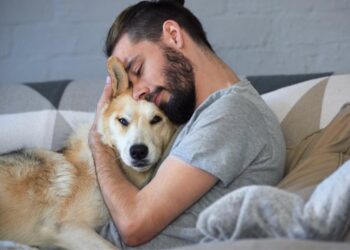 Comment donner de l'affection à un chien ?