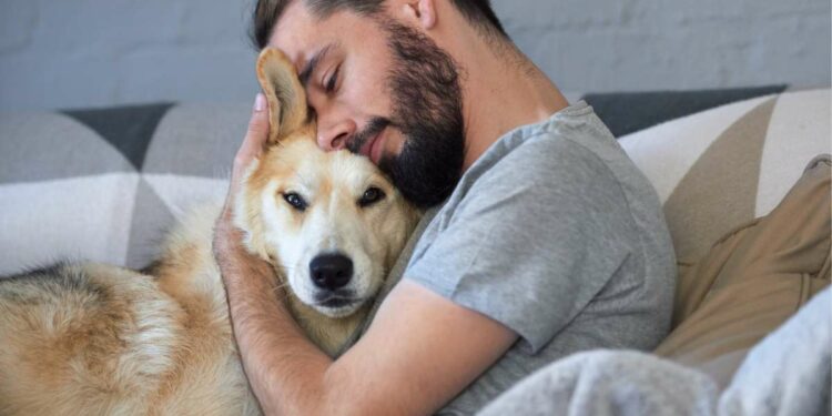 Comment donner de l'affection à un chien ?
